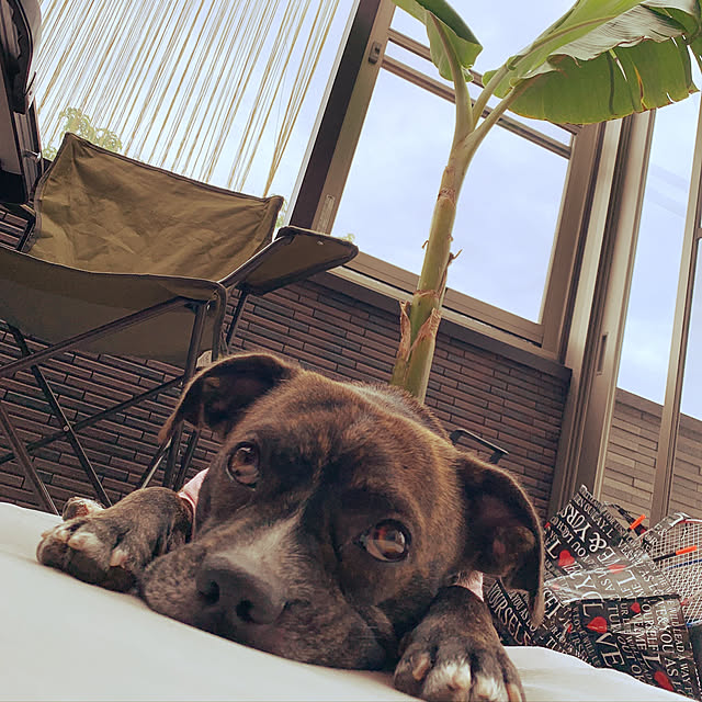 Maさんの実例写真