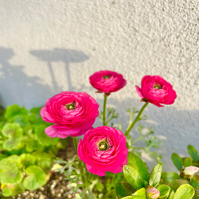 rukakoさんの部屋