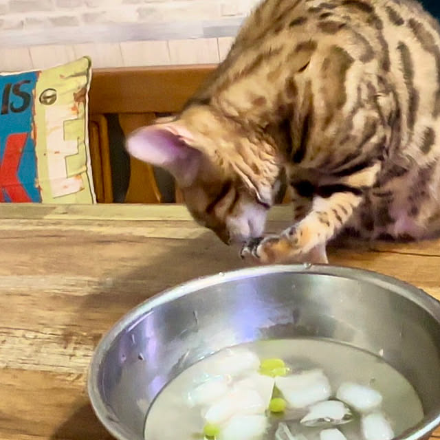 tututu0204さんの部屋