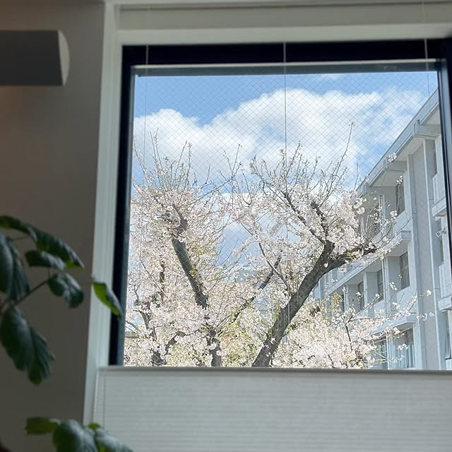 lrikaさんの部屋