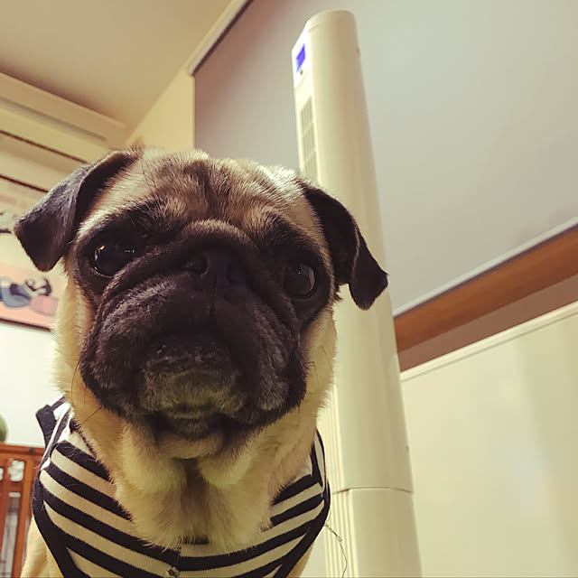 kellyさんの実例写真