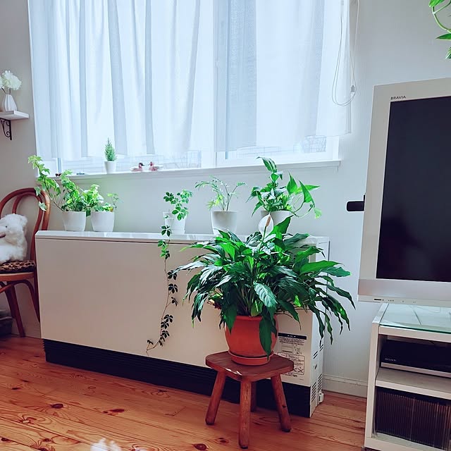 surviveさんの実例写真