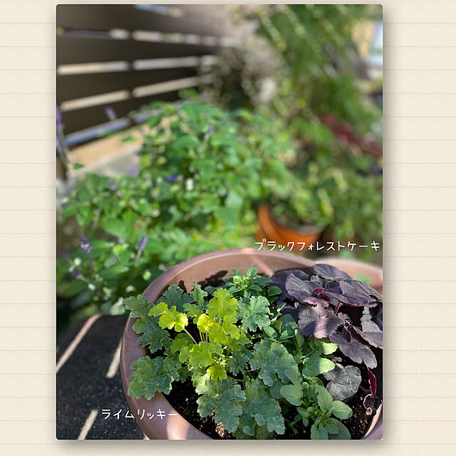 buchiさんの実例写真