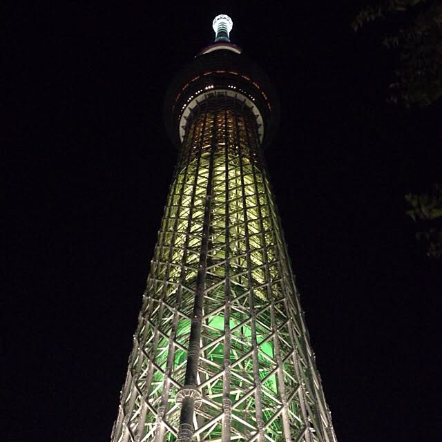実例写真