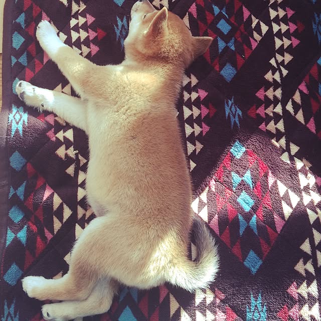e_tさんの実例写真