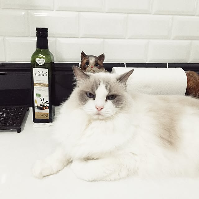 yuchiさんの実例写真