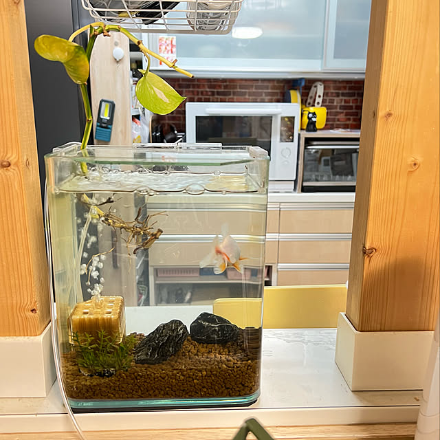 yumiさんの実例写真