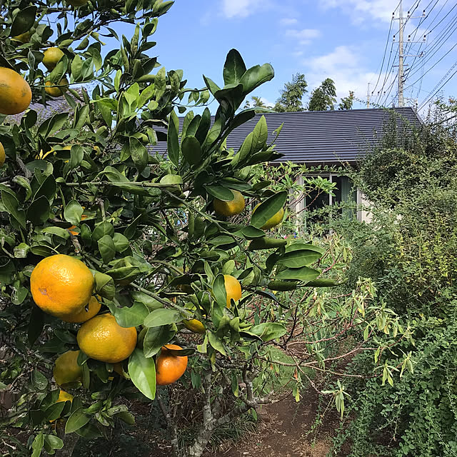 houenさんの実例写真