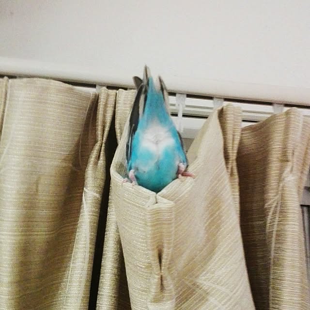 yukkieさんの実例写真