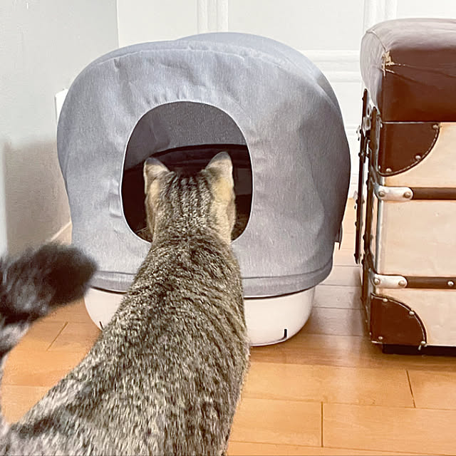 adgjmptwさんの実例写真