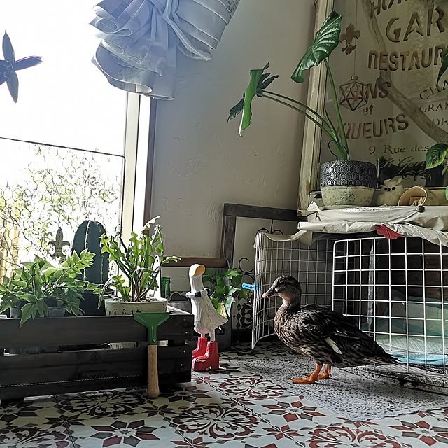 akiさんの部屋
