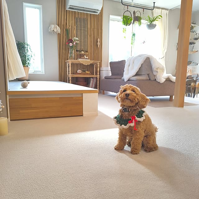 lalaoinkさんの実例写真