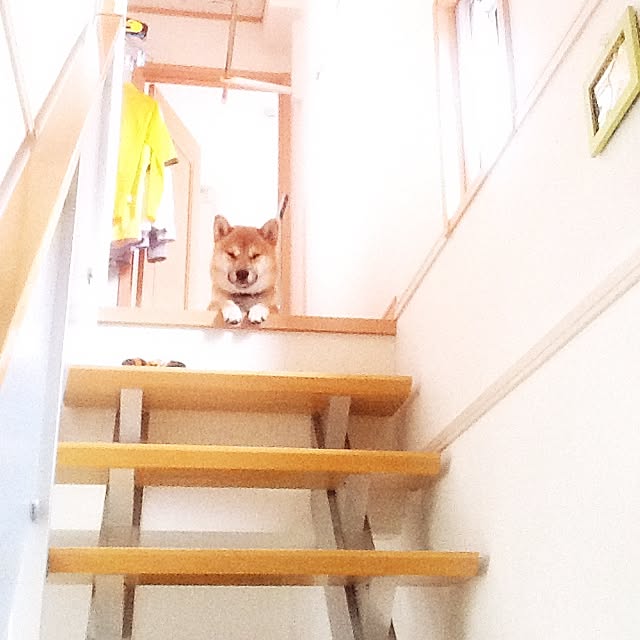 kotaさんの実例写真