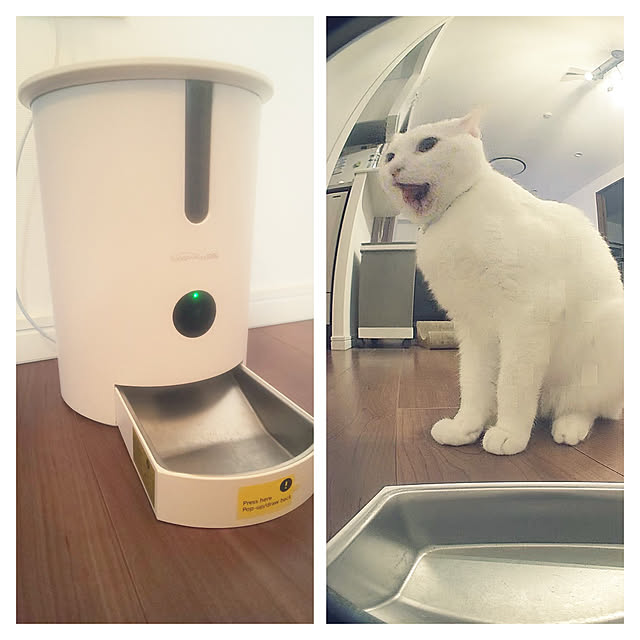 necoさんの実例写真