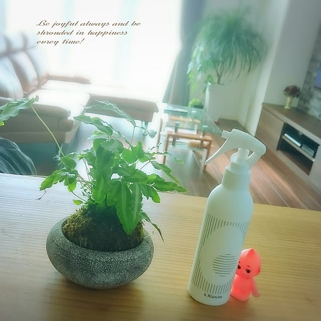 cocochiさんの実例写真