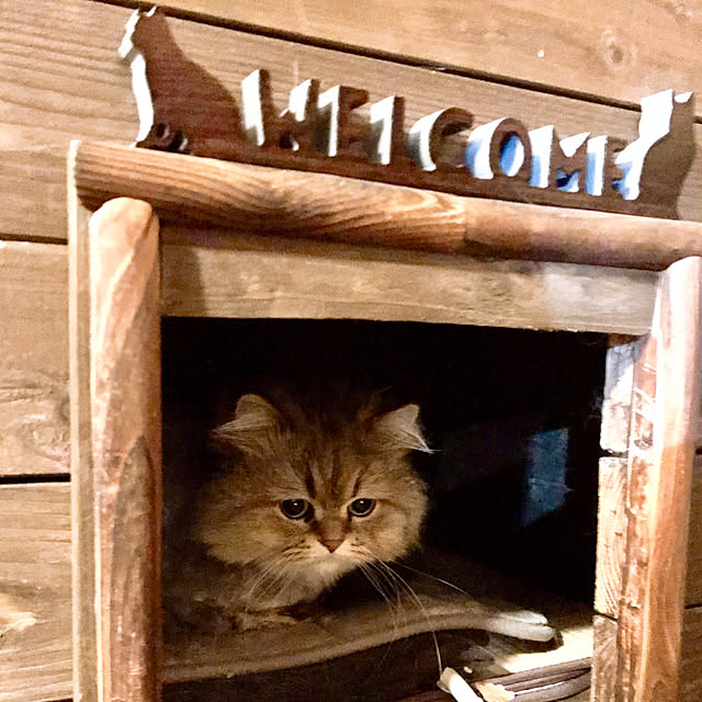butachanさんの実例写真