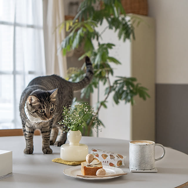 oliveさんの実例写真