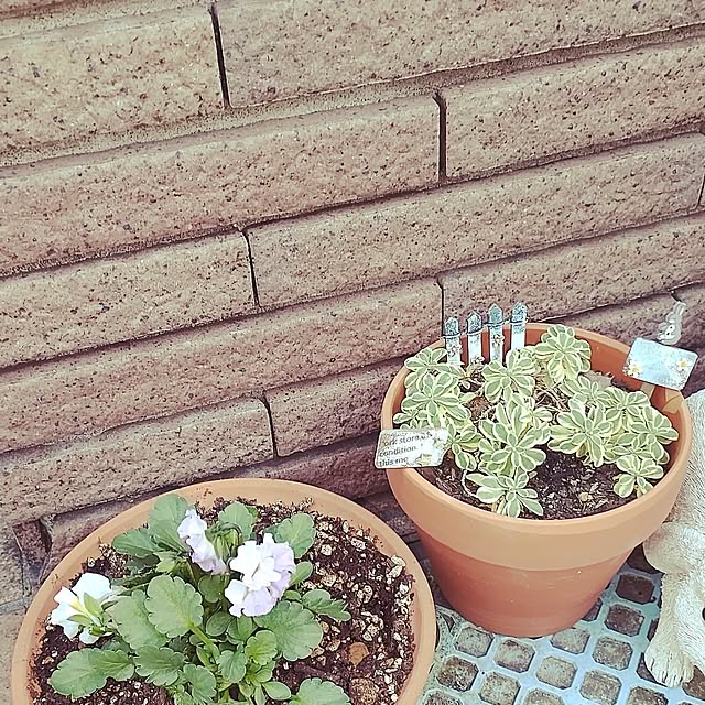 sayapさんの実例写真