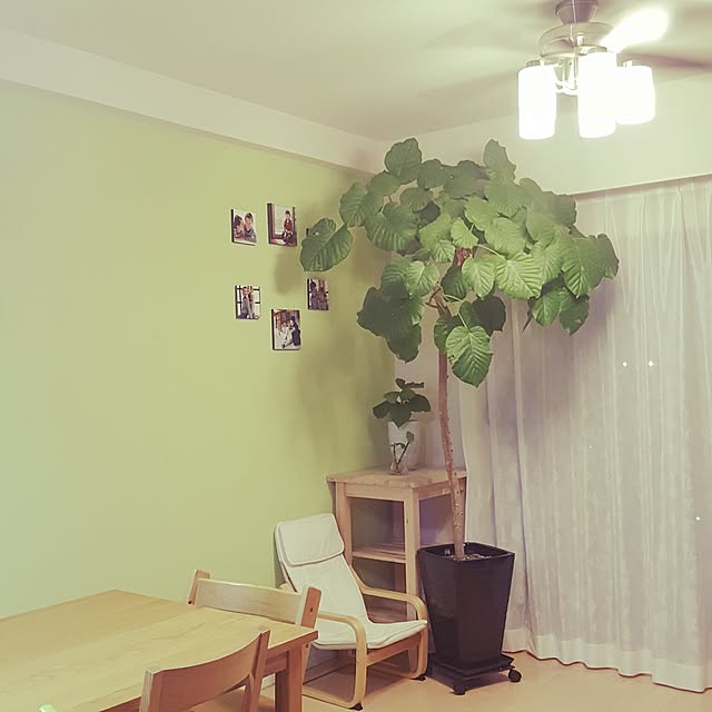 cherryさんの実例写真