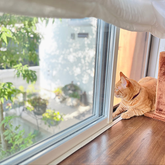 Maruさんの実例写真