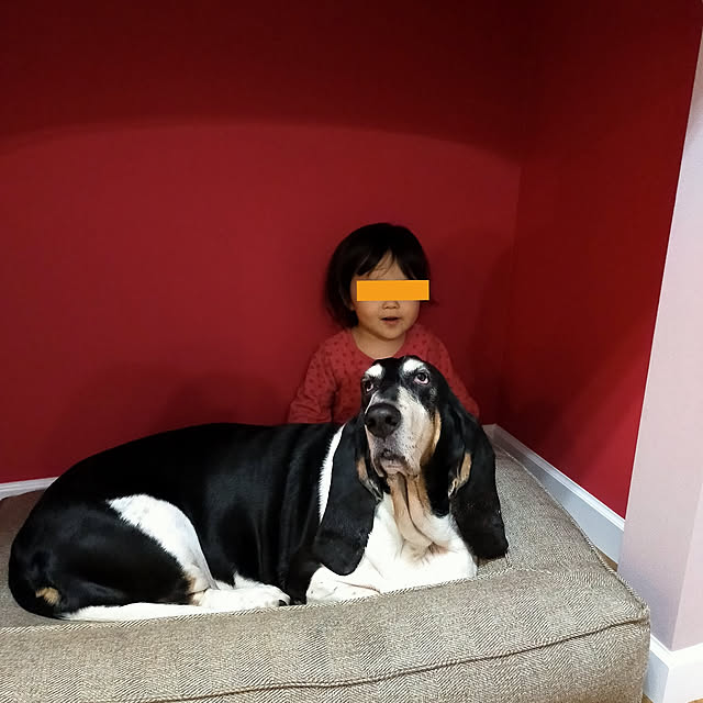 naoさんの実例写真