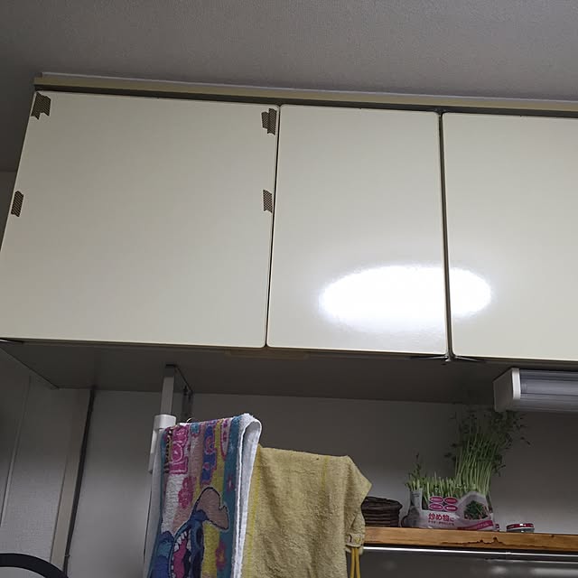chi86さんの実例写真