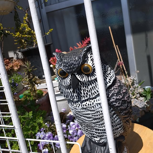 NOAHさんの部屋