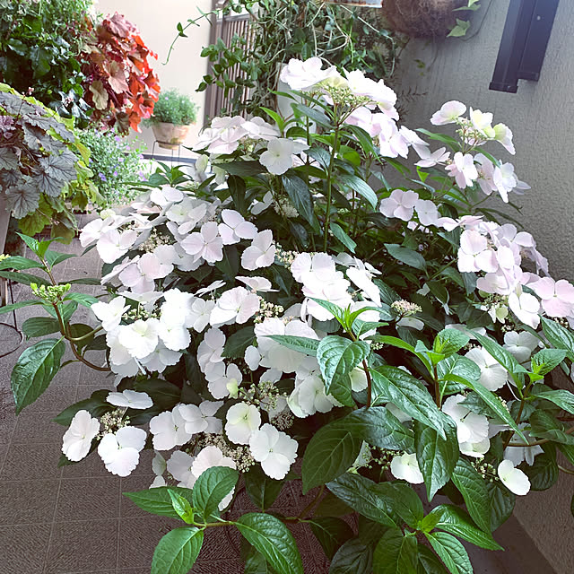 Tenさんの部屋