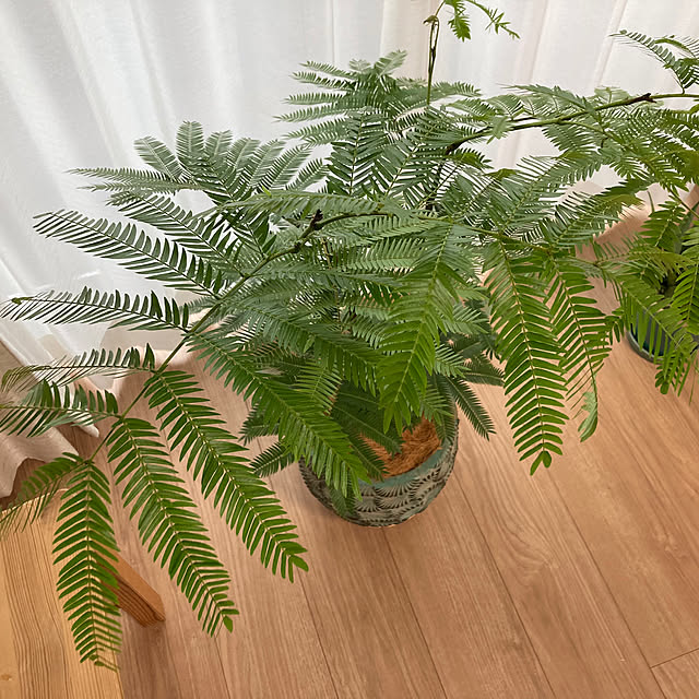 green3さんの部屋