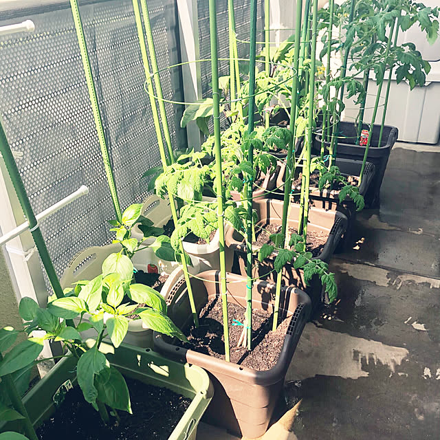hanachanさんの部屋