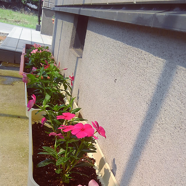 mayumi.さんの実例写真
