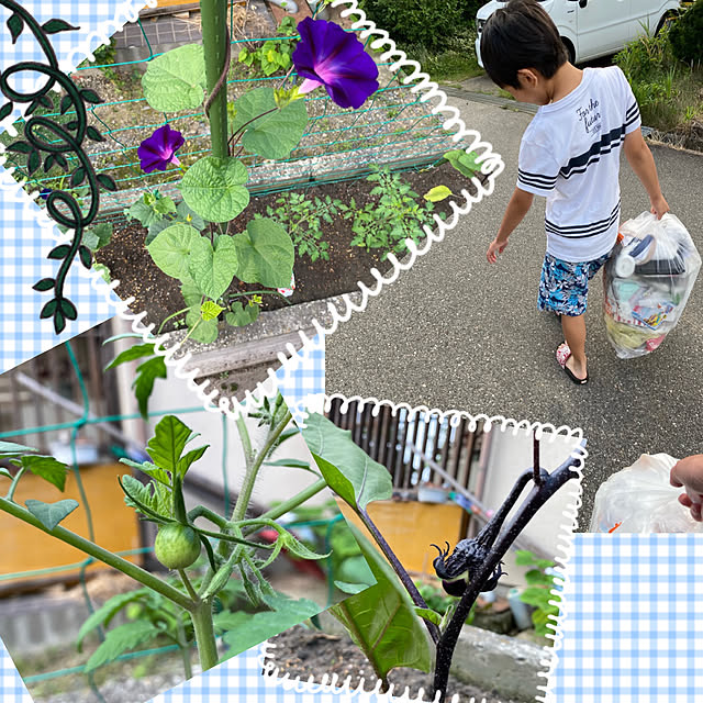 cecil..さんの実例写真