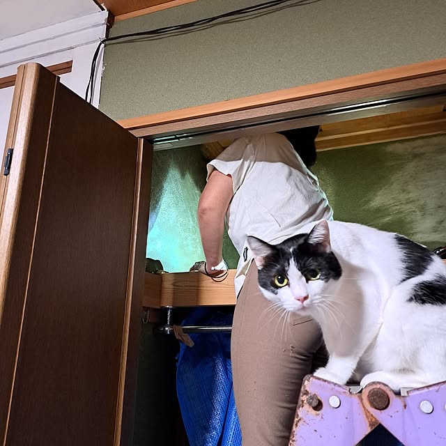 kiyohima229さんの実例写真
