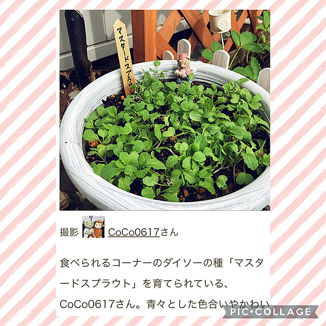 CoCo0617さんの実例写真