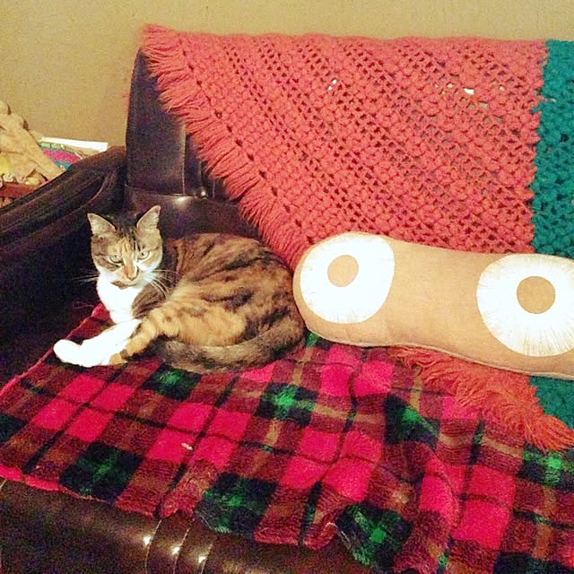 matatabi88さんの実例写真
