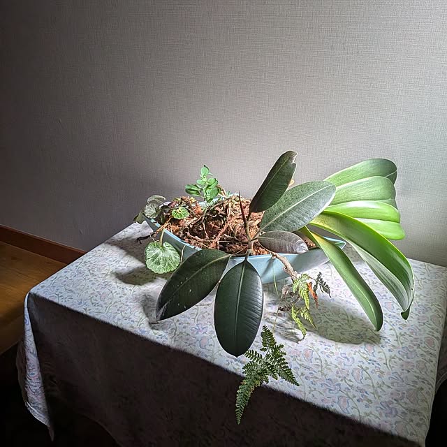 botanさんの実例写真