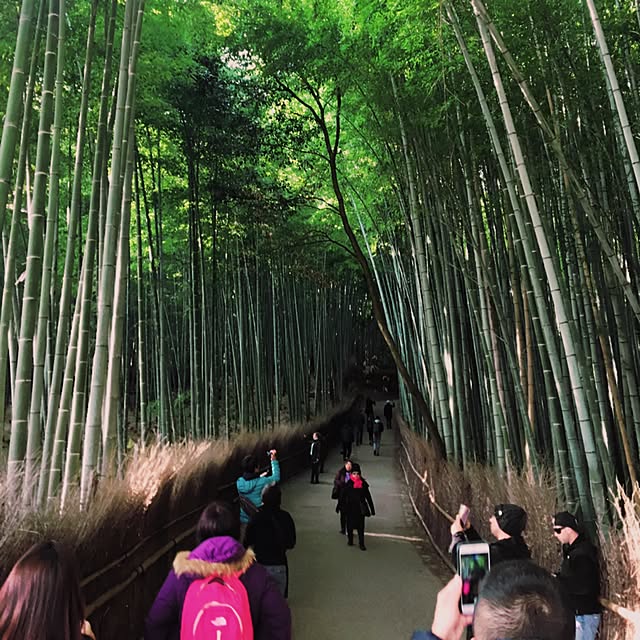 実例写真
