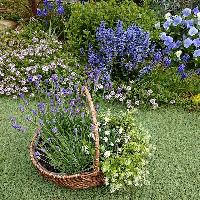 coconathuさんの部屋