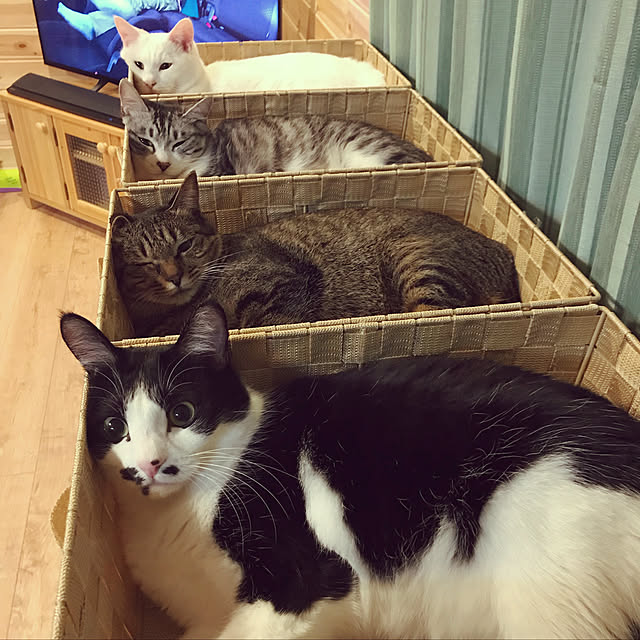 tomomiさんの実例写真