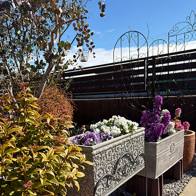 ronronさんの実例写真