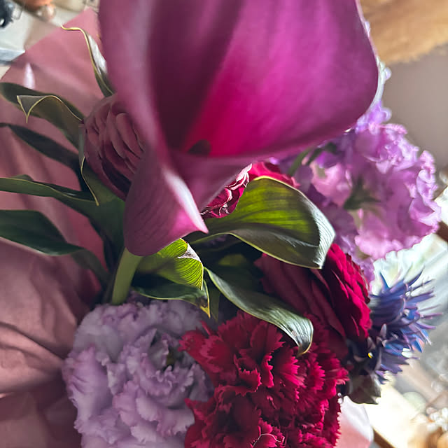 portulacaさんの部屋