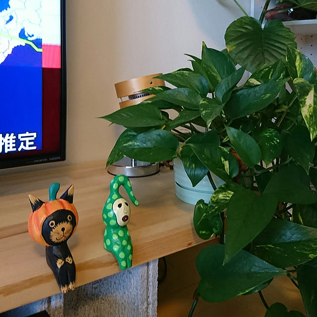 motaさんの実例写真