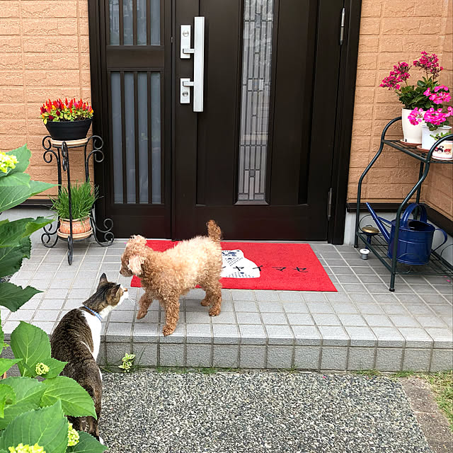 haruminさんの実例写真