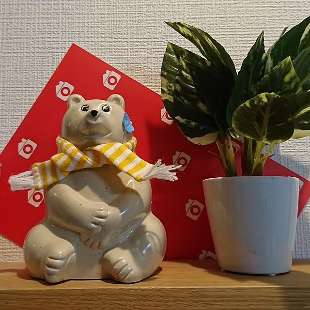 anjuさんの実例写真
