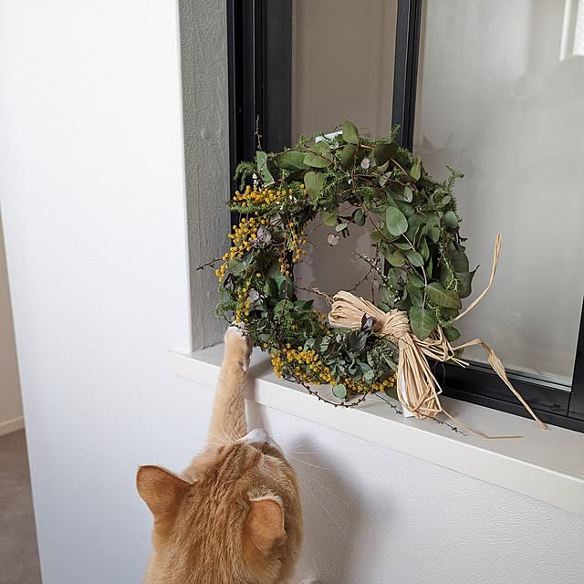 poteさんの部屋