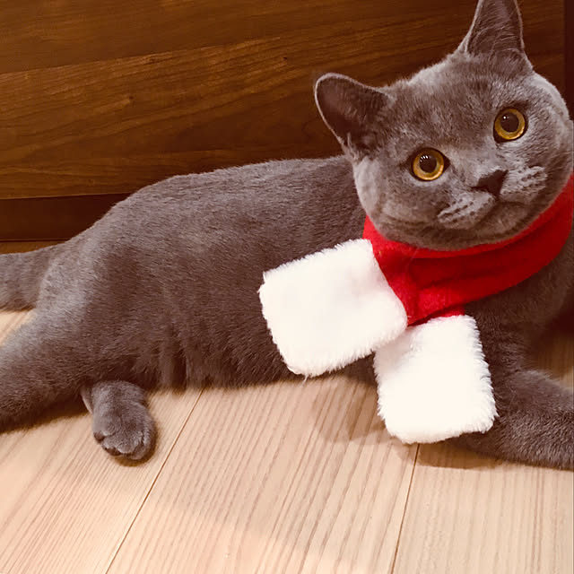 tsuniさんの実例写真