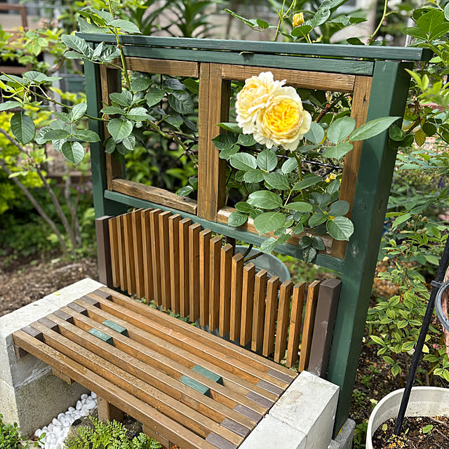 kazutomoさんの部屋