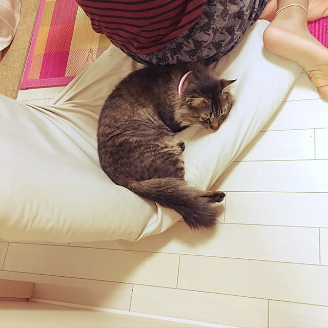 oniyomeさんの実例写真
