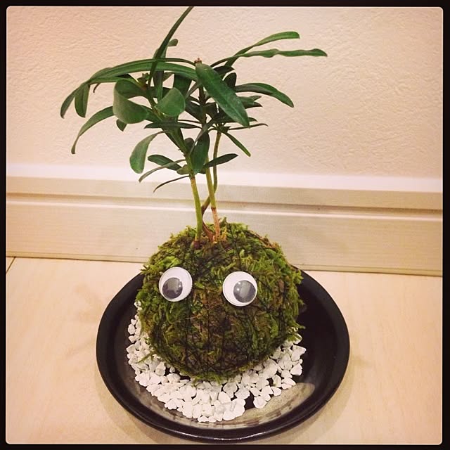 Manaさんの実例写真