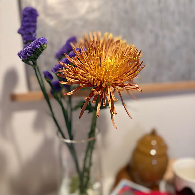 fav_thingさんの実例写真